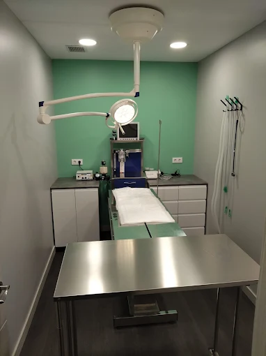 Quirófano veterinario